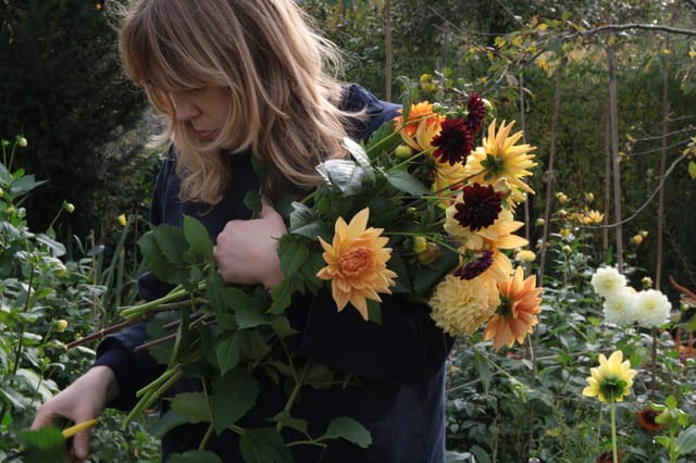 annasflowerfarm.com screenshot