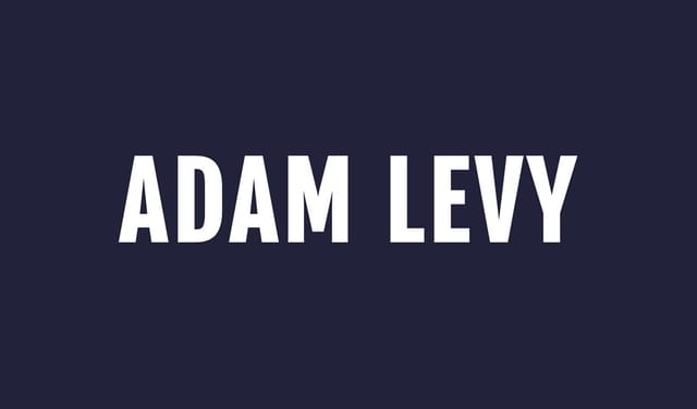 iamadamlevy.com screenshot