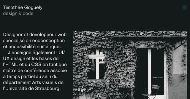 timothee.goguely.com screenshot