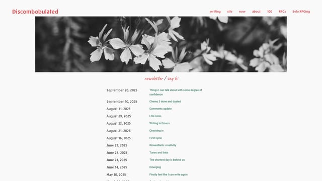 discombobulated.co.nz screenshot